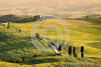 Cypress trees along Gladiator Road strada bianca in Tuscany Stock Photo